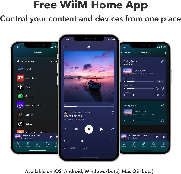 WiiM Pro Plus Audiophile Grade Multi-Room Music Streamer