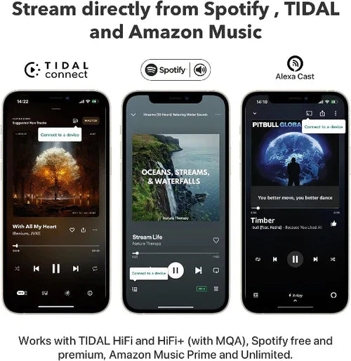 WiiM Pro Plus Audiophile Grade Multi-Room Music Streamer