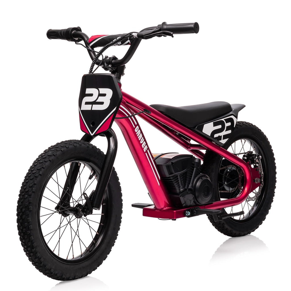 Garvee Ride - G Series: 16 Inch Kids Electric Balance Bike 250W Motor 3 Speed Settings Aluminum Frame Detachable Battery Off-Road Tires for Ages 6-12 Outdoor Adventure