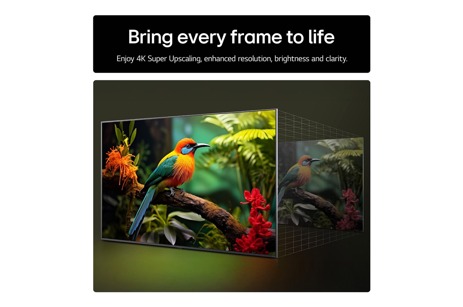 LG 65UA74006LB 65 Inch AI ThinQ UA74 4K UHD HDR Smart TV