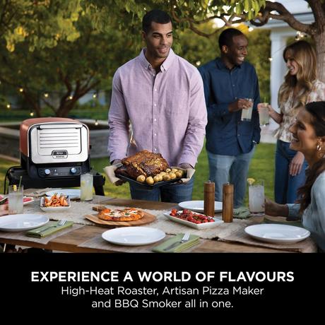 Ninja Woodfire Electric Outdoor Oven Artisan Pizza Maker and BBQ Smoker Terracota OO101UK