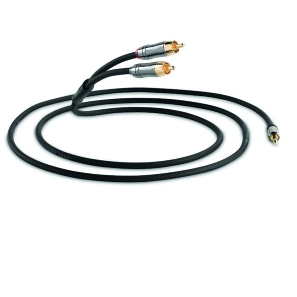 QED QE6500 Performation J2P Jack to Phono 1.5M Cable in Graphite