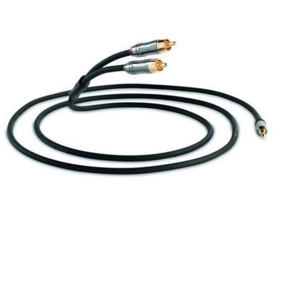 QED QE6500 Performation J2P Jack to Phono 1.5M Cable in Graphite