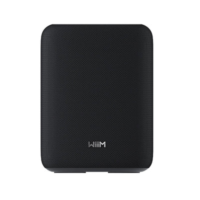 WiiM Sound Lite Wireless Smart Speaker with WiiM NorStone Floor Stand (Single) - Black