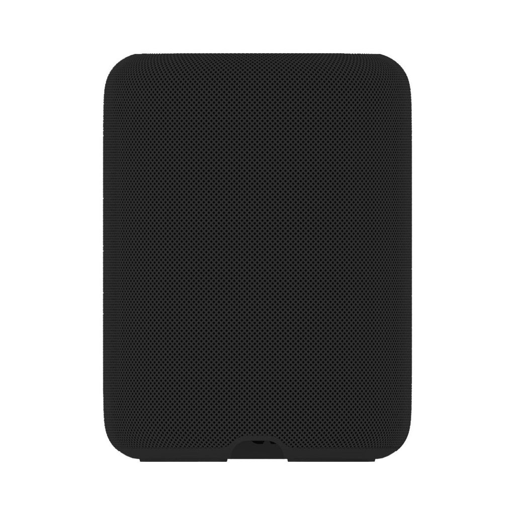 WiiM Sound Lite Wireless Smart Speaker with WiiM NorStone Wall Mount (Single) - Black
