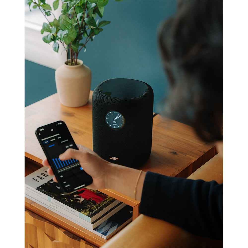 WiiM SOUND Wireless Multiroom Smart Speaker PAIR with Display - Black
