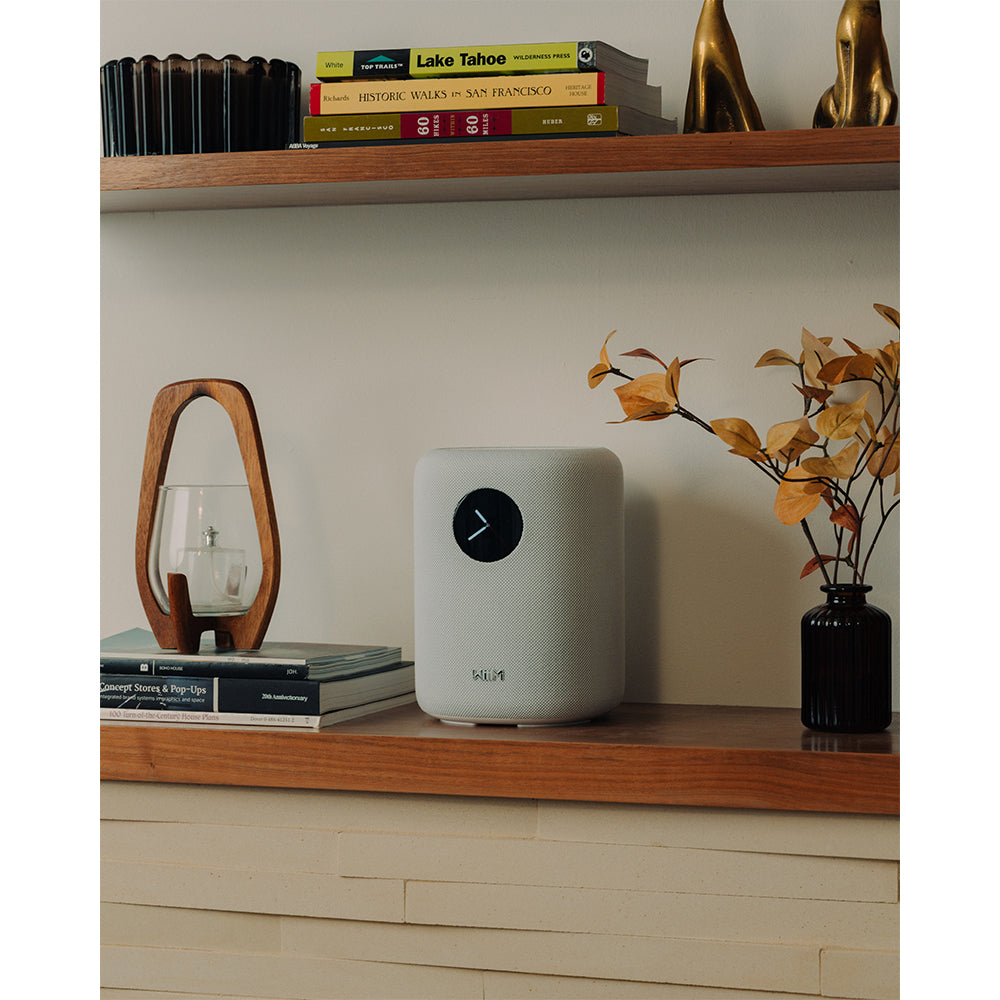 WiiM SOUND Wireless Multiroom Smart Speaker with Display -  White