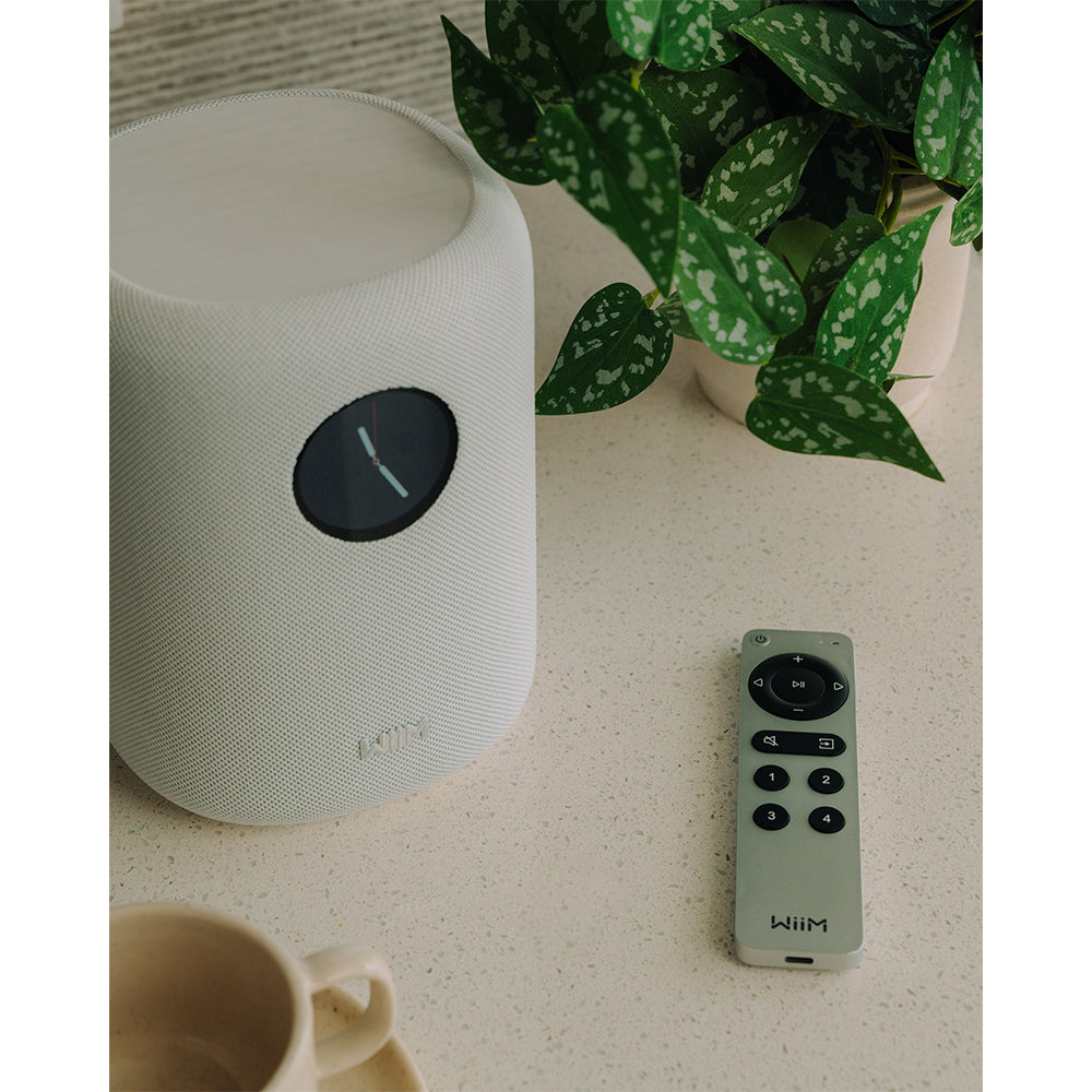 WiiM Sound Wireless Smart Speaker with WiiM NorStone Floor Stand (Single) - White