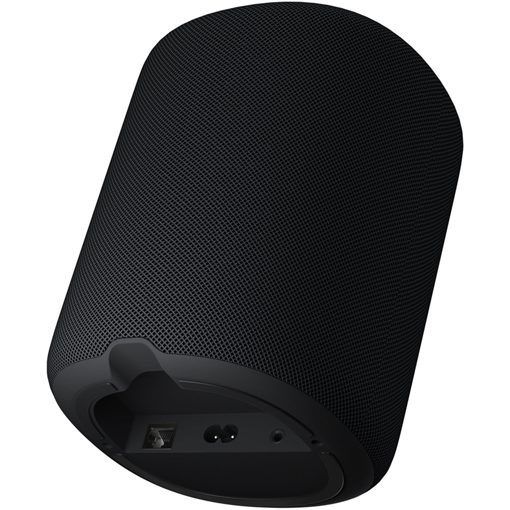 WiiM Sound Wireless Smart Speaker with WiiM NorStone Floor Stand (Single) - Black