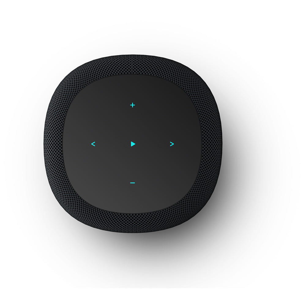 WiiM Sound Wireless Smart Speaker with WiiM NorStone Floor Stand (Single) - Black