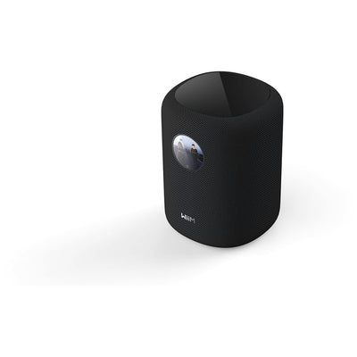 WiiM Sound Wireless Smart Speaker with WiiM NorStone Floor Stand (Single) - Black