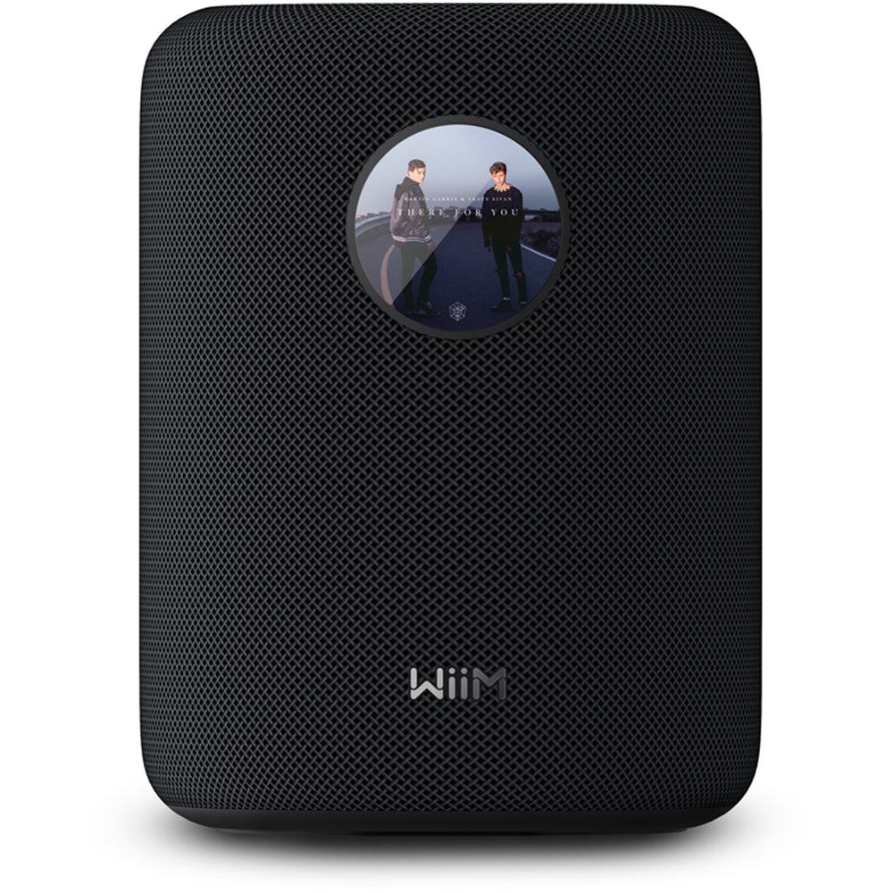 WiiM Sound Wireless Smart Speaker with WiiM NorStone Floor Stand (Single) - Black