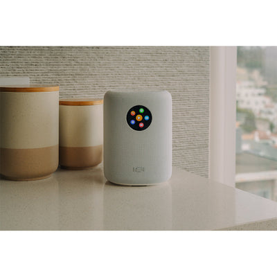 WiiM Sound Wireless Smart Speaker with WiiM NorStone Floor Stand (Single) - White