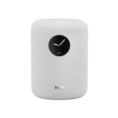 WiiM Sound Wireless Smart Speaker with WiiM NorStone Floor Stand (Single) - White